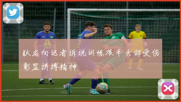 狄龙向记者诉说训练艰辛头部受伤彰显拼搏精神