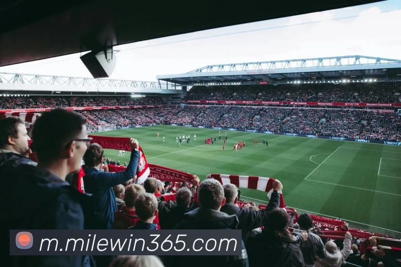 多媒体互动体验